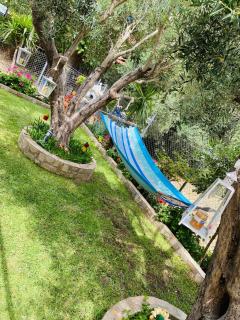 Backyard houses - Torone - 1