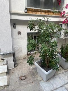 Syntagma Plaka studio 1 - Athene - 4