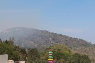 Olive Hills-Families Only-First Floor Guest House - Yelagiri - 1
