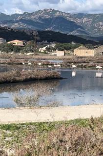 Porto Vecchio Sam - 1