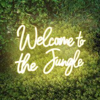 Jungle room - Lyon Est - Vaulx-en-Velin - 1