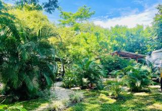 Lovely rental unit in Nosara- steps from the beach - 1