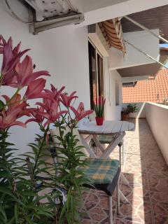 Rooms Xani - Tirana - 5