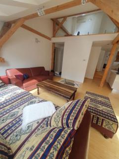 Loft apartament Maiselova - Prague - 3