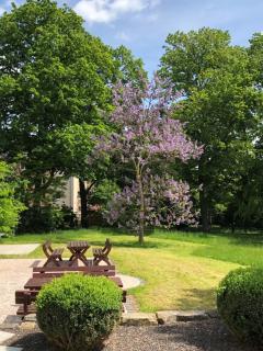 Ferienwohnung Am Hofjägerhaus - 7