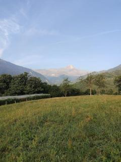 I frutti di bosco - Paesana - 0