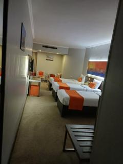 Aswan Plaza Hotel - 3