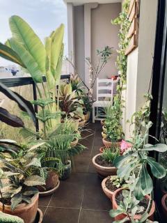 Oasis paisible au cœur de Ngor - Dakar - 1