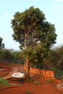 Sixth Element -3BHK Villa with indoor private pool - Kolthare - 8