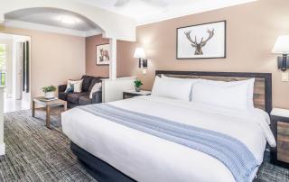 Inn At Mount Shasta - Mount Shasta - 8