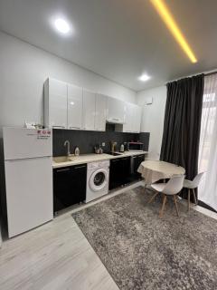 ApartHotel Edinet-аренда квартир единец - Edineţ - 9