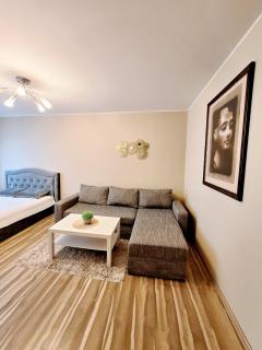 Klaipėda Apartament - Klaipėda - 6