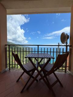 Maison Michelle - HOMY 5 TERRE - Vernazza - 9