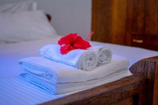 ZanziVilla Oasis - Mbweni - 8