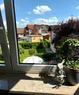 Ferienwohnung Pracht - großzügige FeWo ab 75 qm - Rust - 9