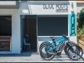 Olive Roots - Skala Rachoniou - 3