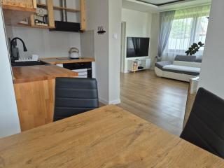 HAFCIK Apartamenty przyjazne dzieciom - Poronin - 4