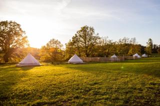 Glamping Hive - - 3