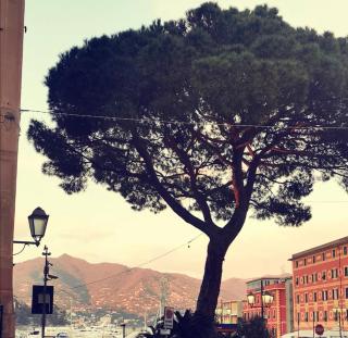 Il porto di Santa - a un passo da Portofino - Santa Margherita Ligure - 4