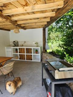Gîtes A Gravona - 3