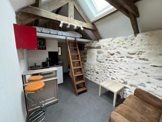 Petite maison de caractère - Ploufragan - 0