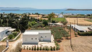 Andriana's 1 - Cycladic Home with Garden , Paros - Drios - 3