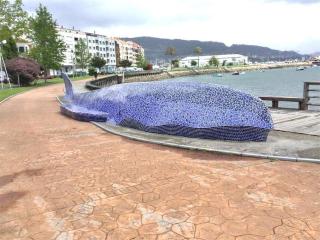 Anduriña - Moaña - 8