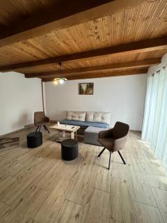 Woodland house - Sîntimbru-Băi - 6