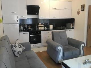 Cozy Apartment near City Park - Pristina - 1