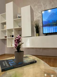 Luxury Studio - Ploieşti - 2