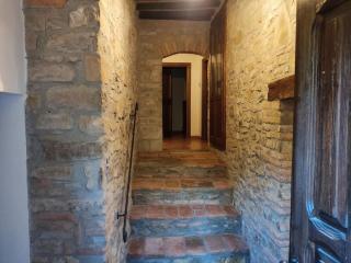 Umbria in Relax! - San Venanzo - 1