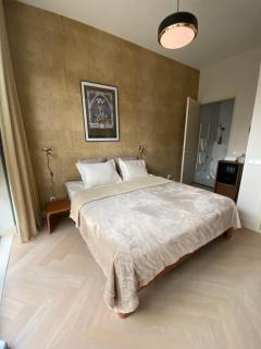 Gorgeous room near Haarlem Station, city center - Haarlem - 0