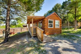 Indian Point Cabin 2 near SDC, Branson, and Table Rock Lake - Branson - 0