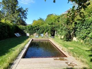 Maison historique au cœur de Nogent-le-Rotrou, 6 chambres, piscine chauffée, idéal pour familles et amis - FR-1-581-121 - Nogent-le-Rotrou - 3