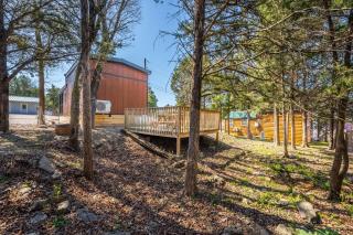 Indian Point Cabin 4 near SDC, Branson, Table Rock Lake - Branson - 2