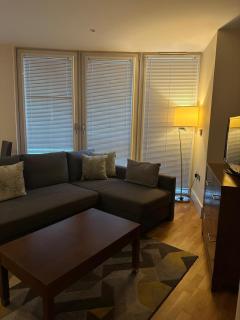 Canary Wharf Apartments - Londra - 6