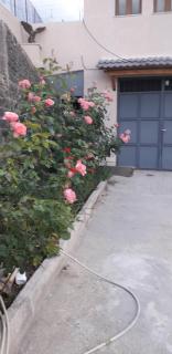 SHENA Guest House - 5