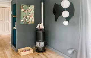 Pet Friendly StaCaravan - Hattemerbroek - 7
