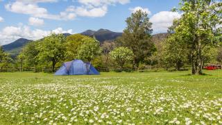 Bring your own tent or campervan - Zítsa - 1