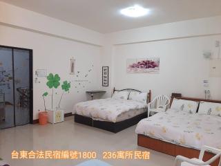236 寓所民宿 - Città di Taitung - 2