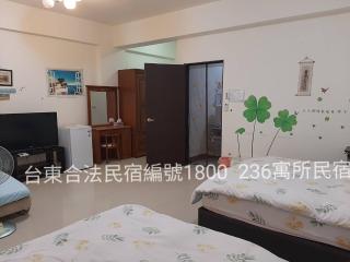 236 寓所民宿 - Città di Taitung - 1