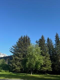 Spruce Goose Lodge - 3