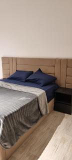 Tara home 1 - Sheikh Zayed - 5