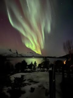 Efjord and Stetind Resort - Cabin Kulhorn - 2