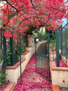 Casa La Magnolia - 0