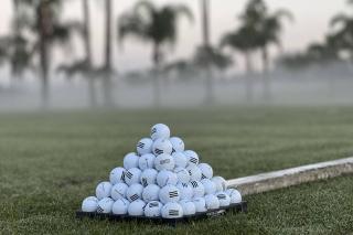 Golf and Tennis Community Studio - Peaceful Pond Paradise - Pet friendly - Wesley Chapel - 4