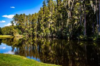 Golf and Tennis Community Studio - Peaceful Pond Paradise - Pet friendly - Wesley Chapel - 2