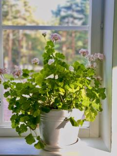 Villa Vintage B&B - Nagu - 8