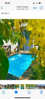 Felina place by Shuli - 6