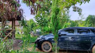 Podocarpus Cottages -02 - Naro Moru - 3